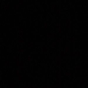 Meet your Posher, Bill